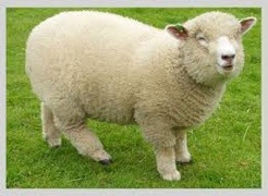20120304-112116.jpg