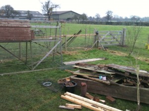 Paddock Fencing North Eastwards