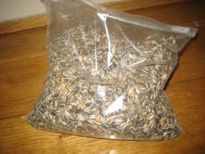 2014 Sunflower Seed