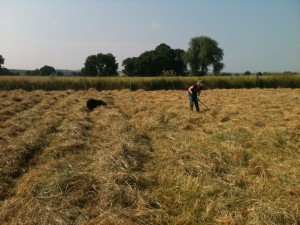 Suz & Penny Turning the Hay