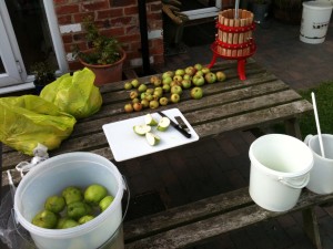 Cider Making 4
