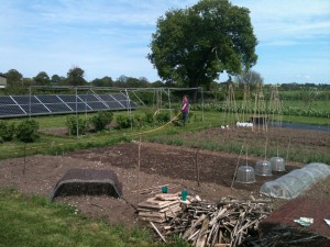 2015 Squash Patch