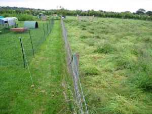 2015 Haycutting 2