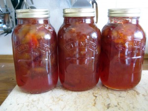 2015 Plum Jam