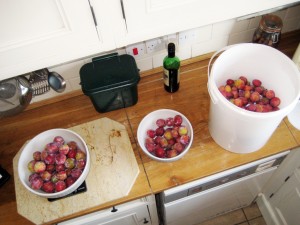 2015 Plums
