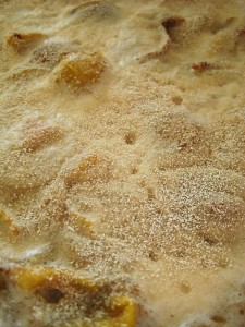 Yeast close-up