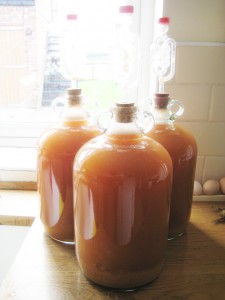 2015 plum wine 4