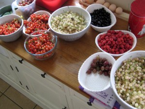 2015 preserving 1