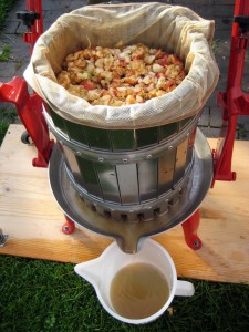 2015 Cider Making 6