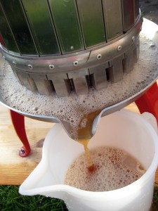 2015 Cider Making 7