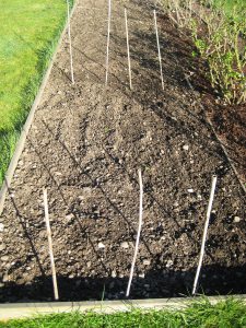 2016 fruit bed