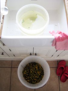 2016 dandelion wine 1