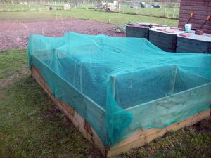 2016 raised bed