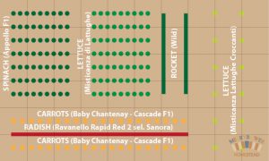 The Patch 2016b - Fruit Bed 1