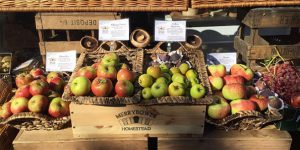 Merrybower Heritage Orchard fruit display - beautiful!