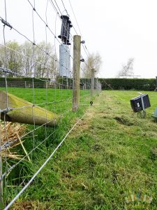Electric fence